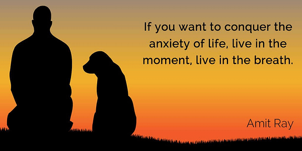 If you want to conquer the anxiety of life live in the moment live in the breath twitter.