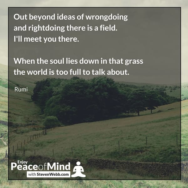 Peace of mind quote - out to beyond ideas of wrong doing and right doing there is a field... Rumi